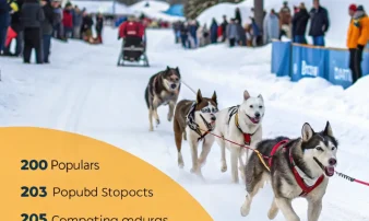 Гонки собак 2025: основные рынки и популярные стратегии